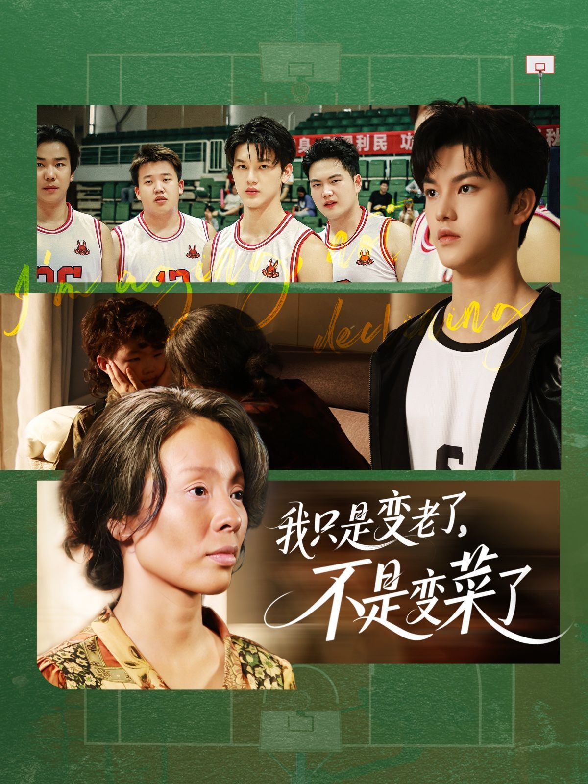 我只是變老了不是變菜了(全集)