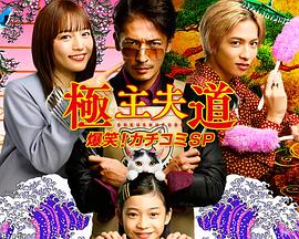 極主夫道 爆笑！砸場(chǎng)子SP