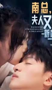 南總，夫人又出新款了(全集)