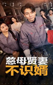 慈母賢妻不識婿(全集)