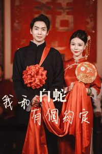 我和白蛇有個約定(全集)