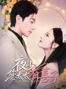 夜少，您太太有喜了(全集)