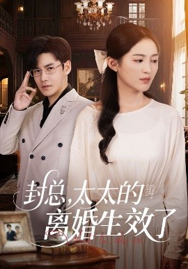 封總，太太的離婚生效了(全集)