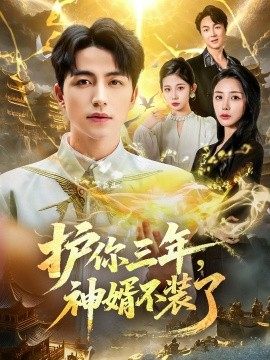 護(hù)你三年，神婿不裝了(全集)