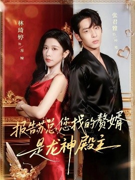 報告蘇總，您找的贊婿是龍神殿主(全集)