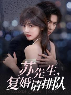 蘇先生，復婚請排隊(全集)