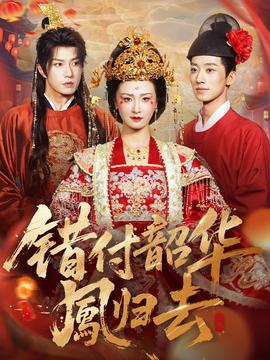 錯(cuò)付韶華鳳歸去(全集)