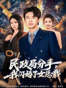 民政局分手，我閃婚了女總裁(全集)