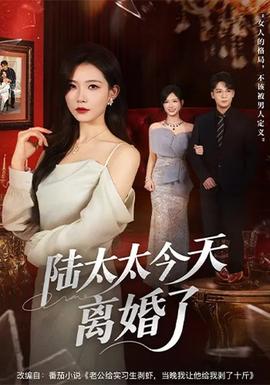 陸太太今天離婚了(全集)