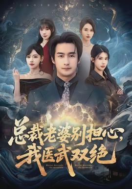 總裁老婆別擔(dān)心，我醫(yī)武雙絕(全集)